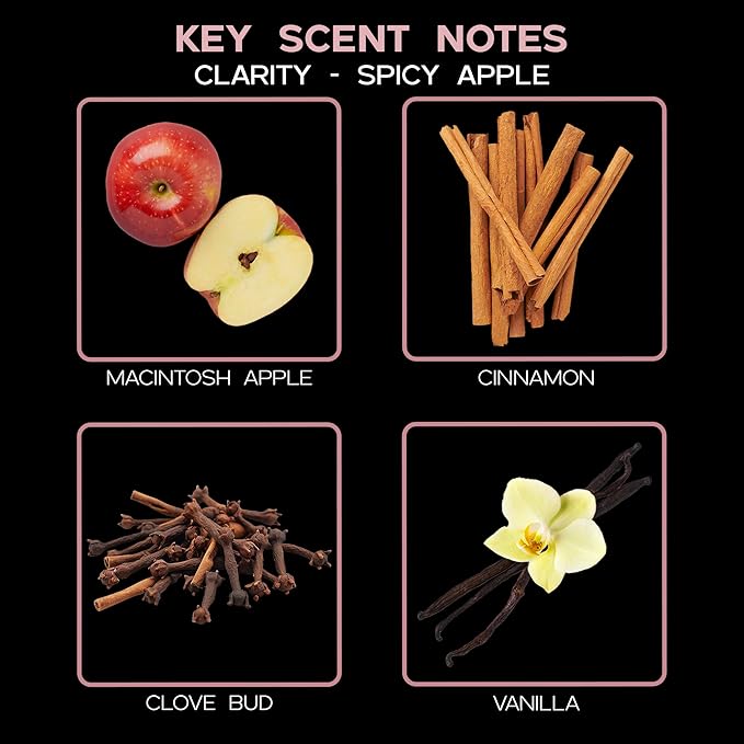 LOVSPA Spicy Apple Cinnamon Reed Diffuser Set - Clarity Fall Scent Diffuser for Home with Real Apples - Non-Toxic Oil Reed Diffuser - Made in The USA