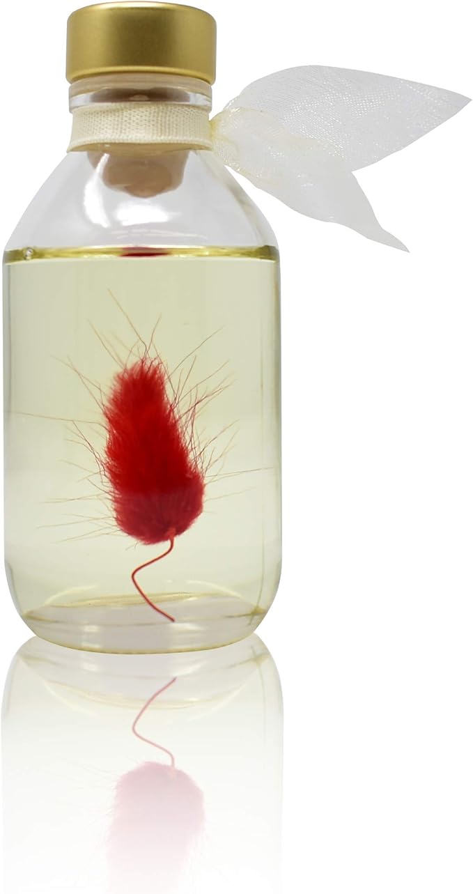 LOVSPA Palo Santo Reed Diffuser Sticks Made with Essential Oils, 4 Ounces, Real Botanicals in The Bottle, Made in The USA