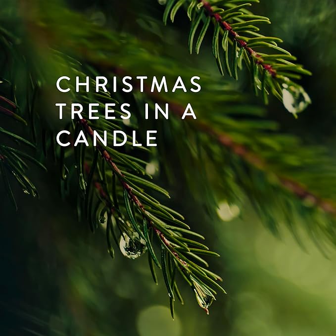 Thymes Frasier Fir Candles - Statement Collection - Silver with Pine Needle Design - Scented Candles for Home Decor - Notes of Siberian Fir Needles, Cedarwood & Sandalwood - Petite (5 oz)