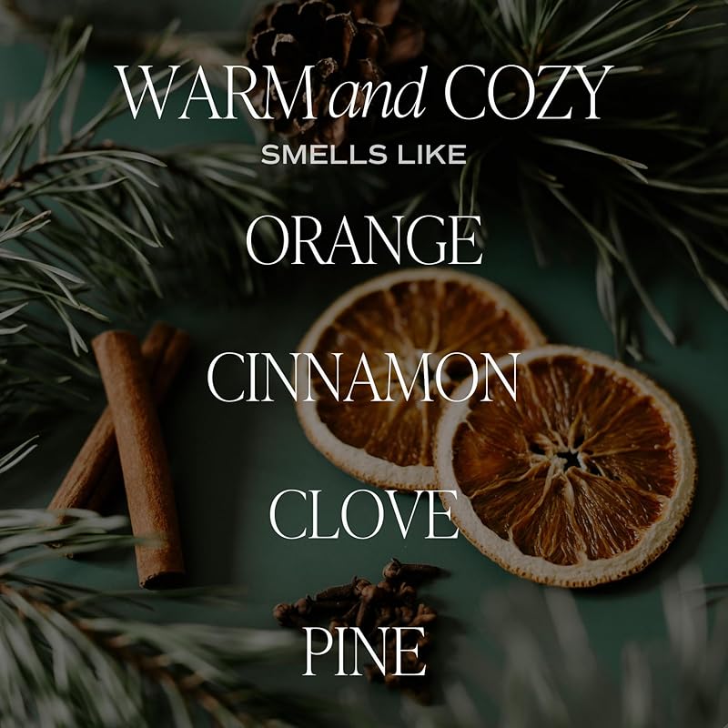 Sweet Water Decor Warm and Cozy Reed Diffuser Set - Orange, Cinnamon, Clove, and Pine Fall and Winter Scented Diffuser - Scent Diffusers for Home, Long Lasting Fragrance, Made in the USA