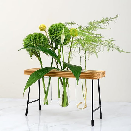 Plant Propagation Station, Glass Terrarium, Ideal for Cuttings and Flower Stems, Perfect Home & Office Decor, Great Gift for Plant Lovers