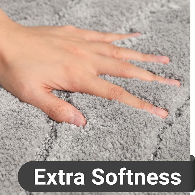 DEXDE Bathroom Rugs Mat,Soft Plush Shaggy Microfiber Bath Rug Non Slip Bath Mats for Bathroom Floor,Machine Washable Absorbent Carpet for Shower Tub,Grey Silver 24"x36"