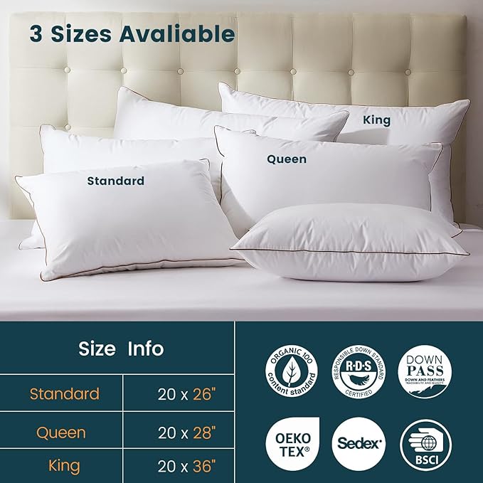 Hungarian Goose Down Pillow Queen Size Set of 2, Ultimate Comfort 750+ Fill Power, 480 Thread Count 100% Cotton Shell, Luxury Bed Pillows for Sleeping - Queen (20" x 28"), 2 Pack