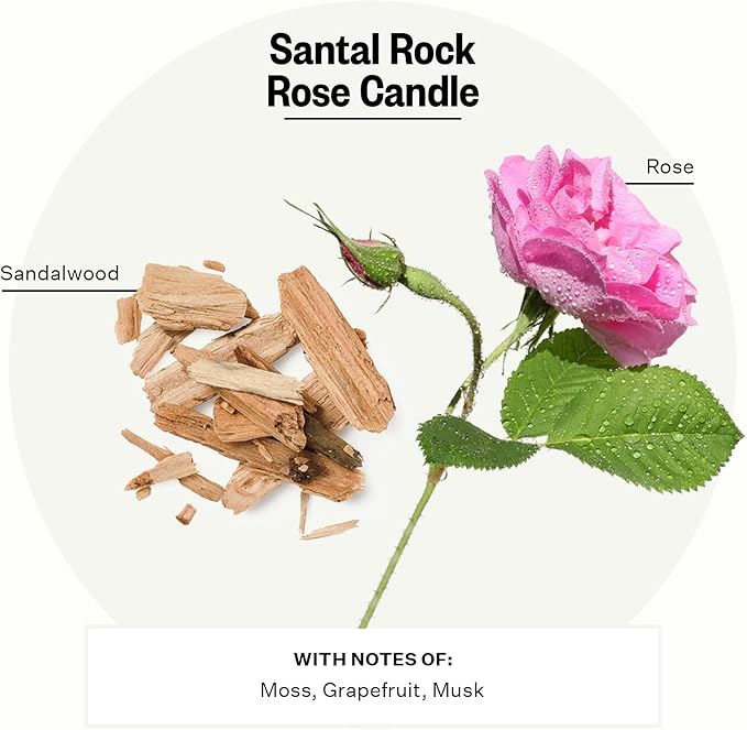 Apotheke 3-Wick Candles (Santal Rock Rose, 3-Wick)