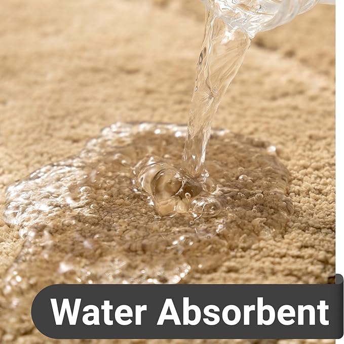 DEXDE Bathroom Rugs Mat, Soft Plush Shaggy Microfiber Bath Rug, Non Slip Bath Mats for Bathroom Runner Floor, Machine Washable Absorbent Carpet for Shower Tub, Beige 24"x47"