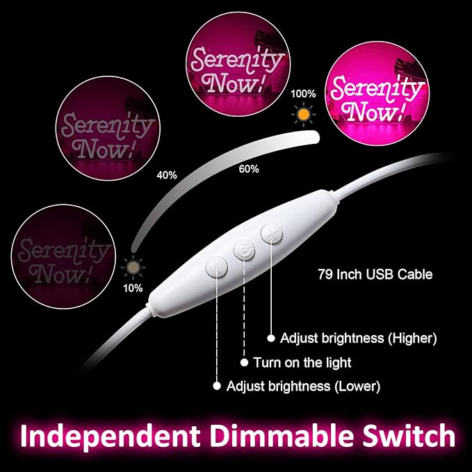 Serenity Now Neon Sign Wall Decor for Home USB led Sign Vibrant LED Wall Art Dimmable Energy Efficient for Home Office Bar Cafe Study room