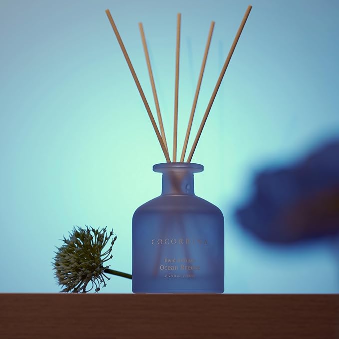 Cocorrína Reed Diffuser - Ocean Breeze 6.76oz Diffuser with Sticks Home Fragrance Essential Oil Reed Diffuser for Home Bedroom Bathroom Shelf Decor Office Decor (Summer Collection)
