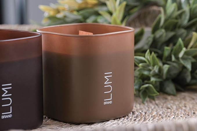 Set of 3 Scented Soy Candles Gift Set | Dusk to Dawn Collection | 3 Scented Candles - Canadian Cedar, Black Amber, and Sandalwood | Crackling Wood Wick | Clean Burn | 50+HR Burn Time, 9.8oz Each