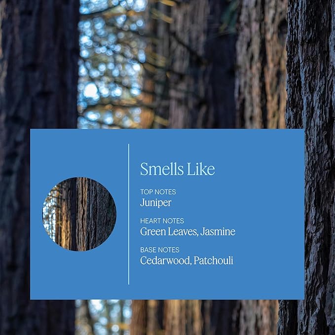 AERA Good Riddance Pet Odor - Essential Oil for Home – Deodorizing Fragrance for Pet Parents - Notes of Cedar Wood, Green Apple and Maritime Pine - Scent Refill - Works with The Diffuser