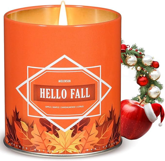 Holiday Scented Candle, 9oz Soy Aromatherapy for Home, Fall Winter Christmas Gifts for Women Men