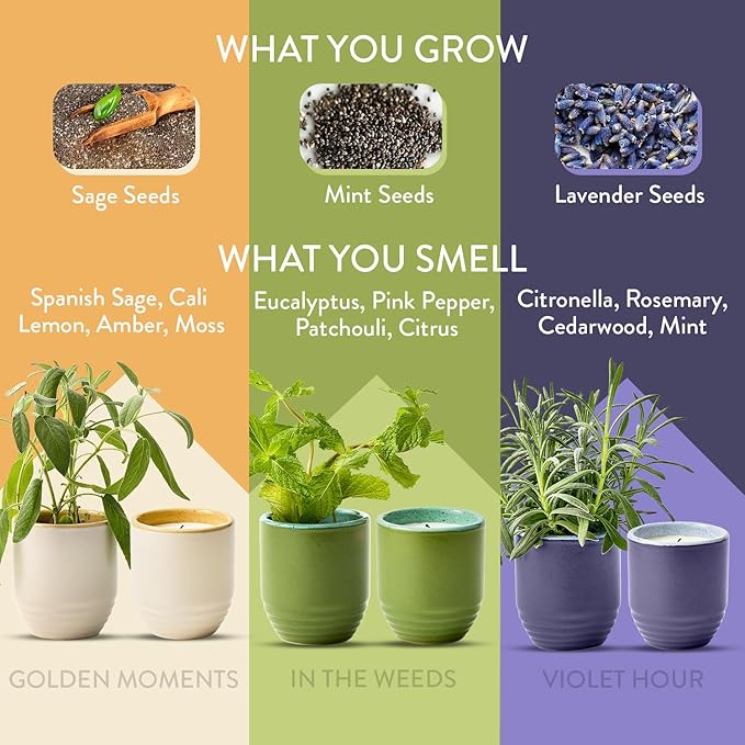 Modern Sprout Garden Vibes 2-in-1 Soy Candle & Planter - 3-Pack Indoor Set (Violet Hour, in The Weeds, Golden Moments) 6 Oz Scented Candles with Lavender, Sage & Mint Seeds – 38–40 Hr Burn Each