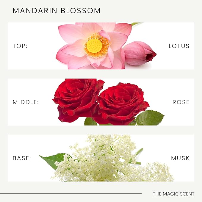 Mandarin Blossom Oils for Diffuser - HVAC, Cold-Air, & Ultrasonic Diffuser Oil Inspired by St. Regis Hotel, Maldives - Essential Oils for Diffusers Aromatherapy - 4 fl oz, 120 mL