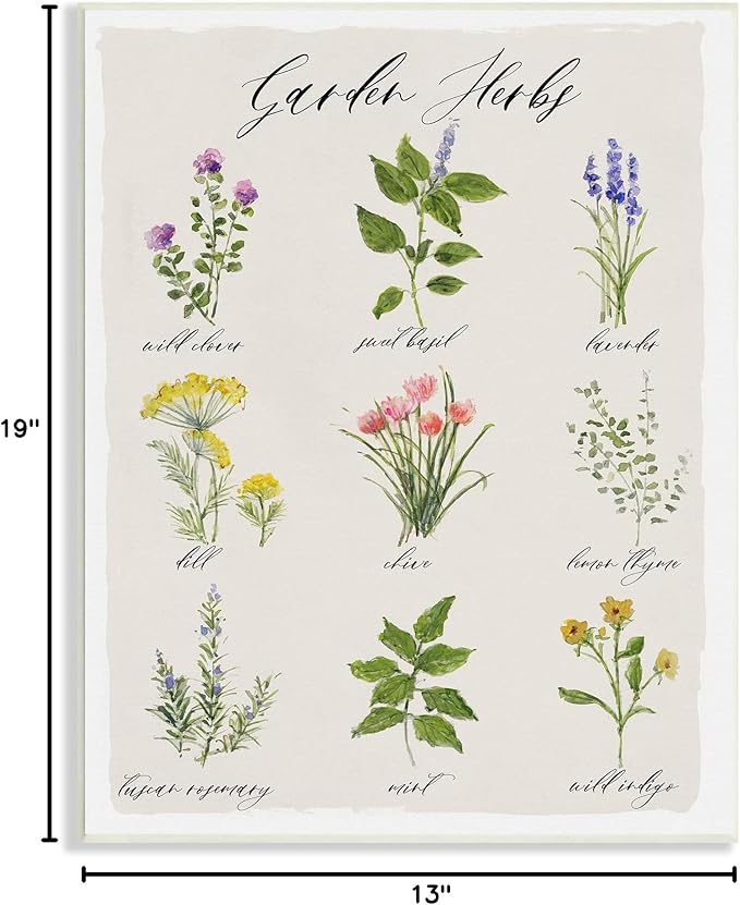 Stupell Industries Garden Herb Illustrated Chart Natural Kitchen Seasoning Wall Plaque, 13 x 19, Beige