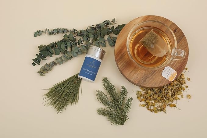 Aera Support Breathe Aromatherapy Essential Oil Home Fragrance Scent Refill - Notes of Eucalyptus, Tea Tree and Pine - Works with The Aera Diffuser