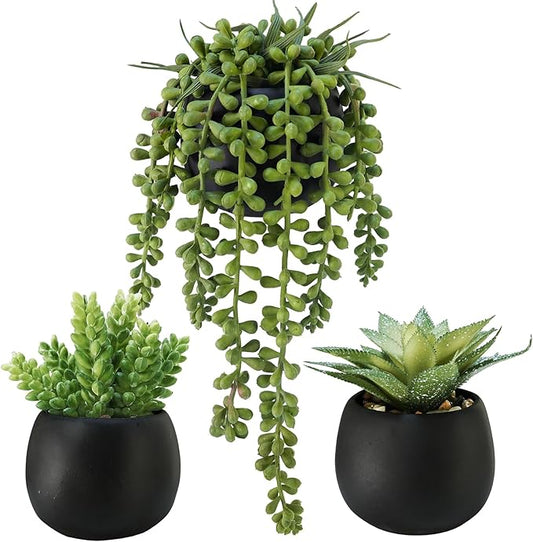 Winlyn Set of 3 Artificial Succulents Plants in Black Cement Planters Faux Potted Plants Aloe String of Pearls Donkey Tail Small House Plants 5" Tall for Table Shelf Home Office Bathroom Living Room