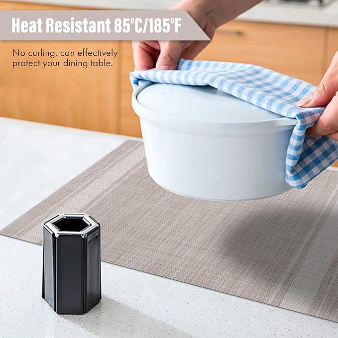 Winknowl Placemats, Set of 6 Heat Resistant Stain Resistant Non-Slip Woven Vinyl Insulation Placemats, Washable Durable Elegant Table Mats for Dining (Beige White)