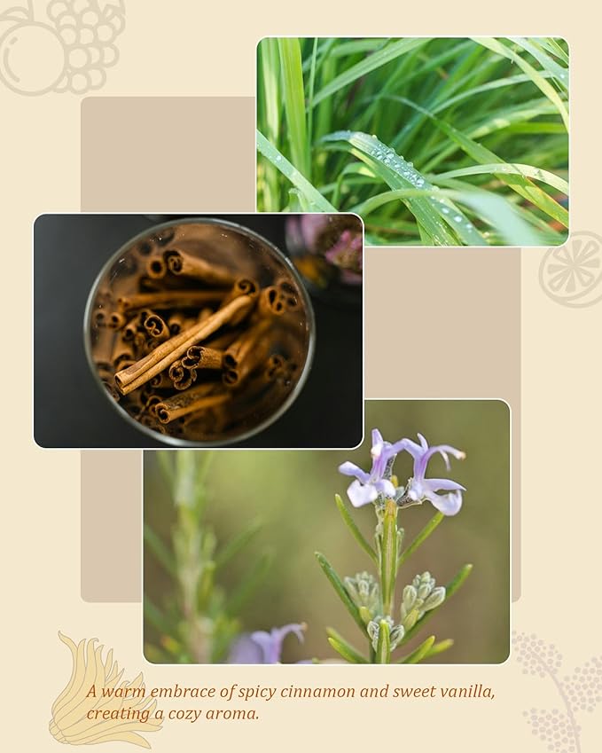 M&SENSE Cinnamon Vanilla Reed Diffuser Set - 7.04oz Scent Diffusers for Home, Natural Essential Oil Diffuser with Sticks, Housewarming Diffuser Gift for Bathroom Bedroom & Office