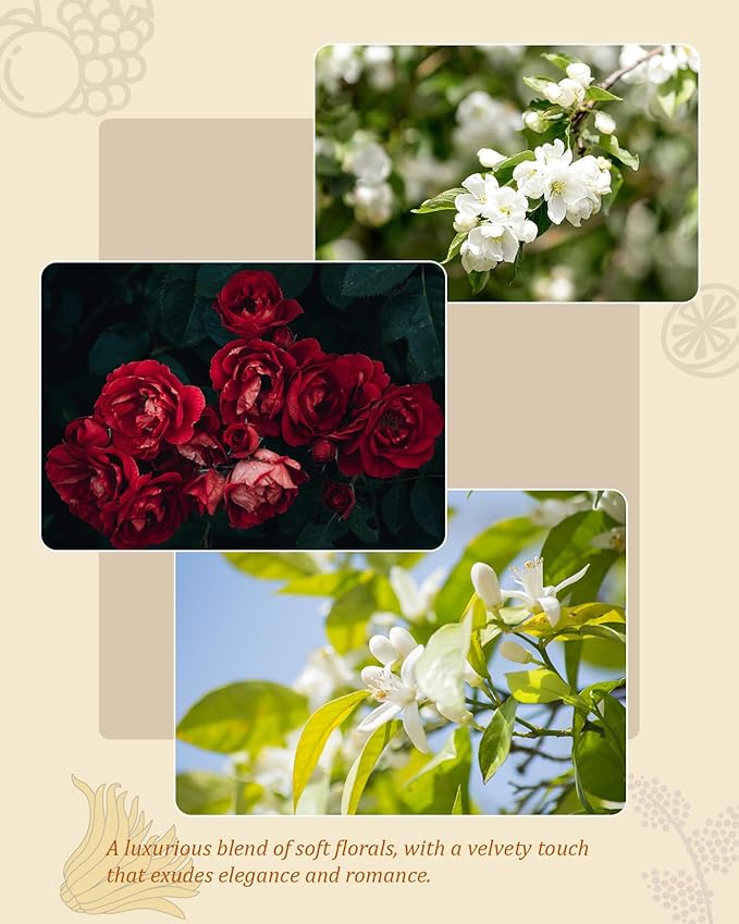 M&SENSE Rose & Sandalwood Reed Diffuser Set - 7.04 oz Velvet Rose Non-Toxic Scent Diffusers for Home Bathroom Shelf Decor, Aromatherapy Diffuser Gift for Girlfriend,