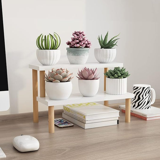 Small Plant Stand Indoor Ladder Shelf Desk, 2 Tiers Desktop Flower Stand Window Sill ,Wood Display Stand for Succulent Cupcake Spice Rack Countertop ( White, 14.2")