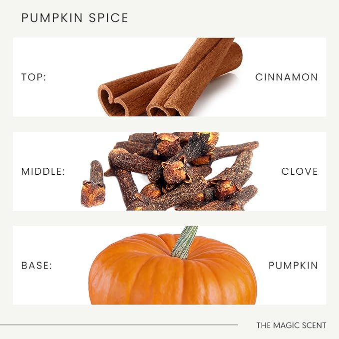 Pumpkin Spice Aroma Oil - Diffuser Oil Scent - Cold-Air & Ultrasonic Diffuser Oil - Pumpkin Essential Oil - Essential Oils for Diffusers Aromatherapy - 8.5 fl oz, 250 mL