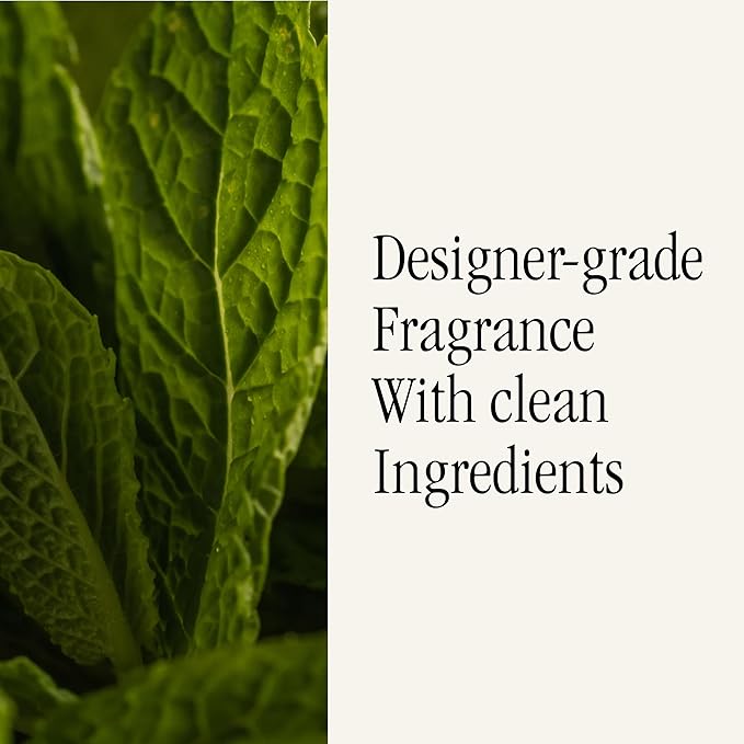 Pura Smart Home Air Diffuser Fragrance - Smart Home Scent Refill - Up to 120-Hours of Premium Fragrance per Refill - Clean Diffuser for Office & Apartment - 2 Pack, Green Tea Citrus