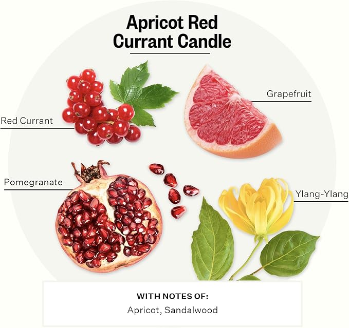 Apotheke 3-Wick Scented Candles for Home, Apricot Red Currant - 26 oz Long-Lasting Soy Wax Jar Candle, 120-140 Hours Burn Time - Notes Red Currant, Grapefruit, Pomegranate & Hint of Sandalwood