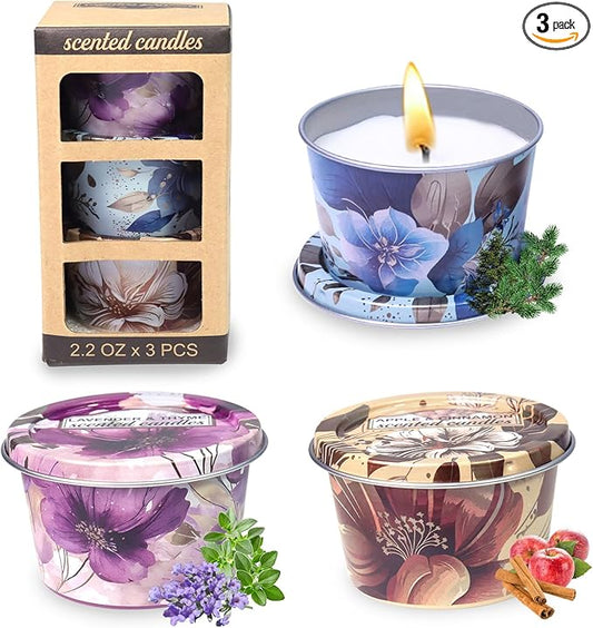 Soy Wax Aromatherapy Candles 3-Pack - 10H Burning Smokeless Candles, Non-Toxic Essential Oil Blend for Stress Relief & Sleep, Lavender Thyme/Apple Cinnamon/Balsam Cedar, Eco-Friendly Gift Set (2.2oz)