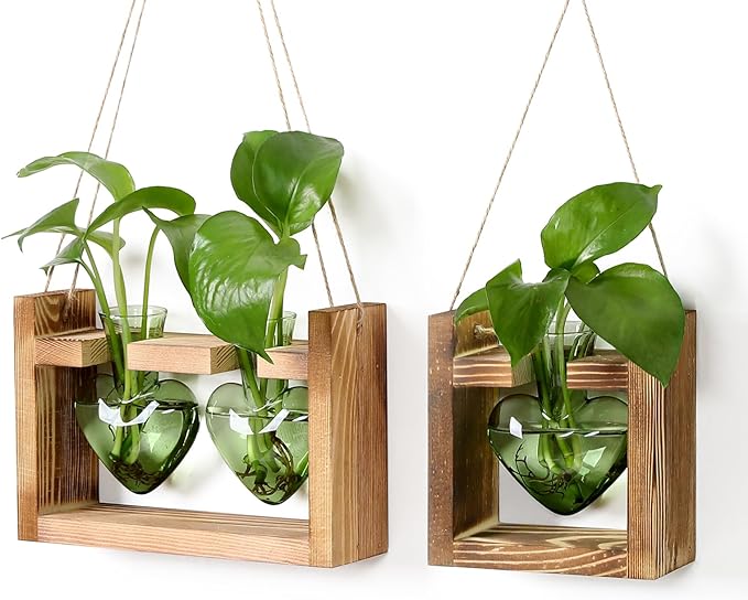 2+1 Plant Terrarium Plant Propagation Station Birthday Gifts for Women Plant Lovers Home Office Decor with Wooden Stand