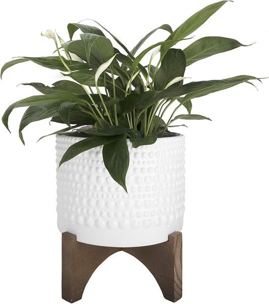 LA Jolie Muse Ceramic Planter with Wood Stand - 8 Inch White Cylinder Embossed Hobnail Patterned Flower Plant Pot Indoor