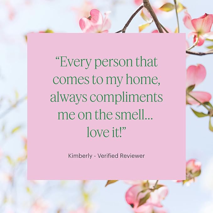 AERA Mini Curiosity - Essential Oil for Home - Pear and Redberries Fragrance - Notes of Magnolia, Lotus Flower and Citrus - Scent Refill - Capsule Size Works with Mini Diffuser