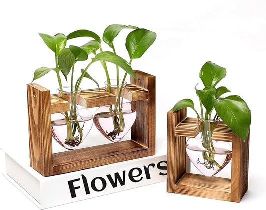 2+1 Plant Terrarium Plant Propagation Station Birthday Gifts for Women Plant Lovers Home Office Decor with Wooden Stand