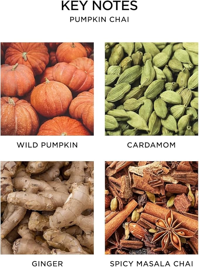 NEST New York Smart Home Fragrance Diffuser Refill Smart Vials, Pumpkin Chai - Set of 2 - Designed for NEST x Pura 3 and NEST x Pura 4 Diffusers - Cruelty Free, Vegan - Made in USA