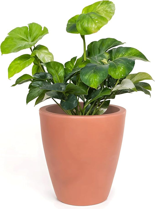 Elly Décor 12 inch Planter for Garden with Drainage, Large Round, Lightweight & Extremely Durable, Deck Indoor/Outdoor Plastic Pot, 12"x12"x7", Terracotta