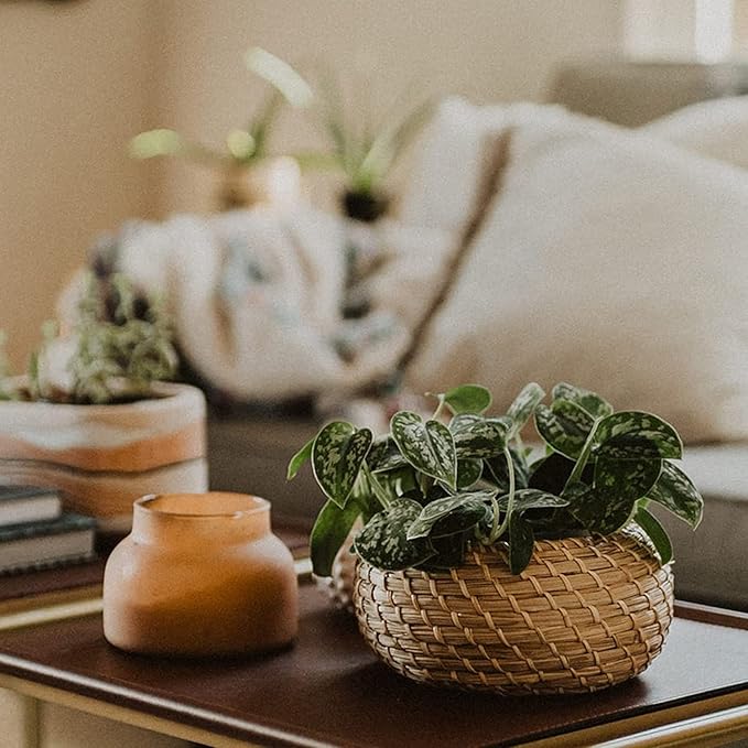 Dicunoy Set of 3 Small Wicker Basket with Lid, Round Woven Seagrass Baskets, Little Handmade Rattan Storage Basket Box for Shelf, Home, Bathroom Decor