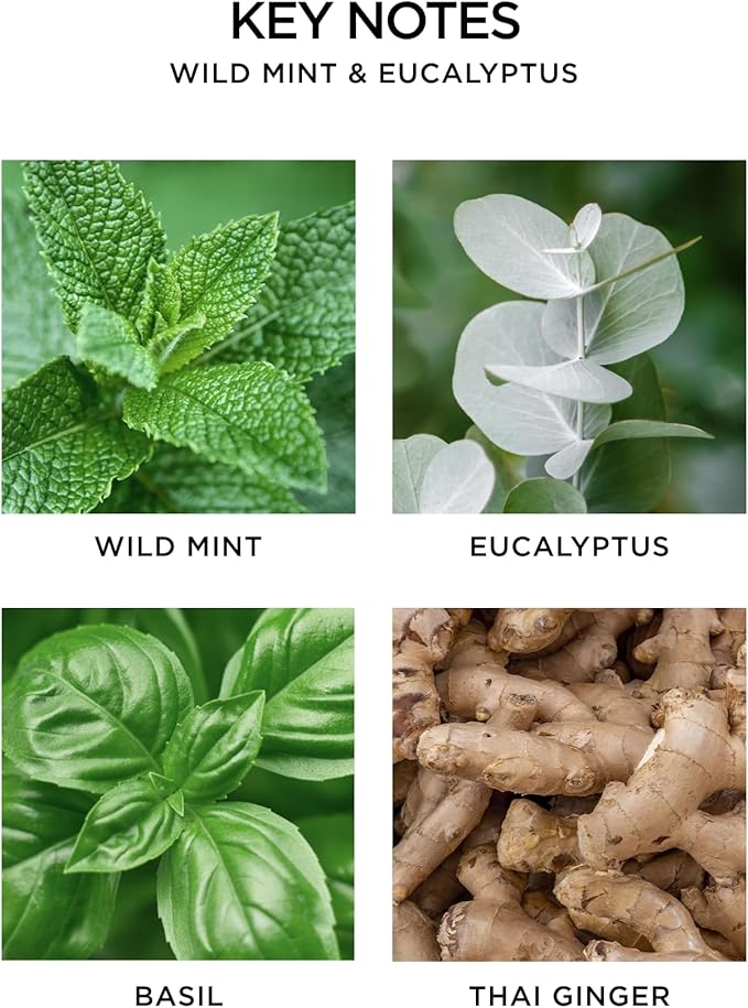 NEST New York Reed Diffuser, Wild Mint & Eucalyptus - 5.9 fl oz - Fragrance for Up to 90 Days - Reusable, Refillable Glass Holder - Includes 8 All-Natural Reed Sticks - Flame Free