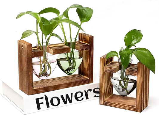2+1 Plant Terrarium Plant Propagation Station Birthday Gifts for Women Plant Lovers Home Office Decor with Wooden Stand