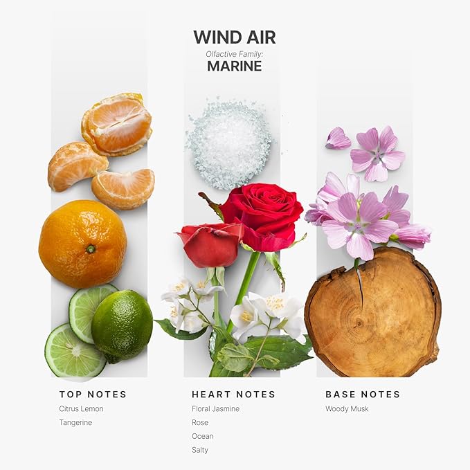 Aromaplan Hotel Scents Wind Air 5 Fl Oz (148ml), Home Luxury Aroma & Hotel Fragrance Diffuser Oil- Hotel Diffuser Oil for Aromatherapy- USA Made, Bigger Bottle, Bolder Aroma & Longer Lasting