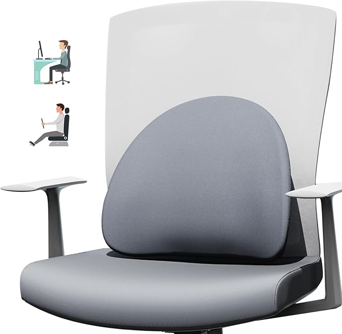 Lumbar Support Pillow for Office Chair - Ergonomic Memory Foam Back Support for Office Chair, Office Chair Back Support Cushion for Back Pain, Ideal Back Support Pillow for Car & Office, Gray