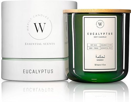Waxily Eucalyptus Soy Candle | Aromatherapy Candles | Non Toxic, Long Lasting, Large Essential Oil Candle | Luxury Gift, Clean Burning, Home Spa, Stress Relief, Vegan, Eco Friendly, Natural | 12oz