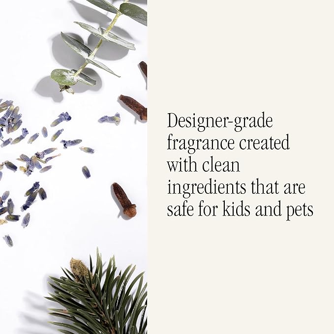 Pura Smart Home Air Diffuser Fragrance - Smart Home Scent Refill - 2 Pack, Banana Birch