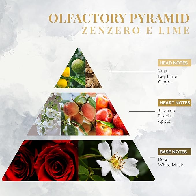 Logevy Firenze 1965 Zenzero e Lime – Ginger & Lime Luxury Home Fragrance Diffuser from Master Perfumer with Spicy, Floral & Fruity Notes in Elegant Glass Bottle with 12 Natural Bamboo Reeds – 500ml