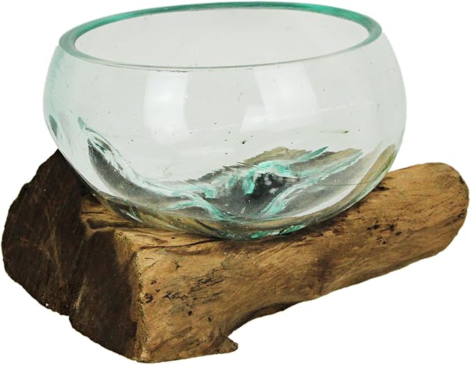 Medium Wide Mouth Molten Glass on Teak Driftwood Decorative Sculptural Bowl, Vase, and Terrarium Planter - Approximately 5 Inches High
