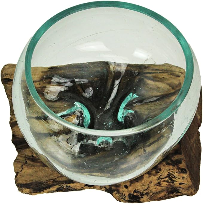 Medium Wide Mouth Molten Glass on Teak Driftwood Decorative Sculptural Bowl, Vase, and Terrarium Planter - Approximately 5 Inches High