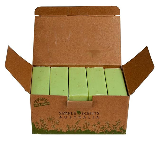 Eucalyptus Scented Natural Soap Bars (5 Bars), 3.5oz Moisturizing French Triple Milled Soap Bars Enriched with Shea Butter - Pure Plant Oil Bath & Body