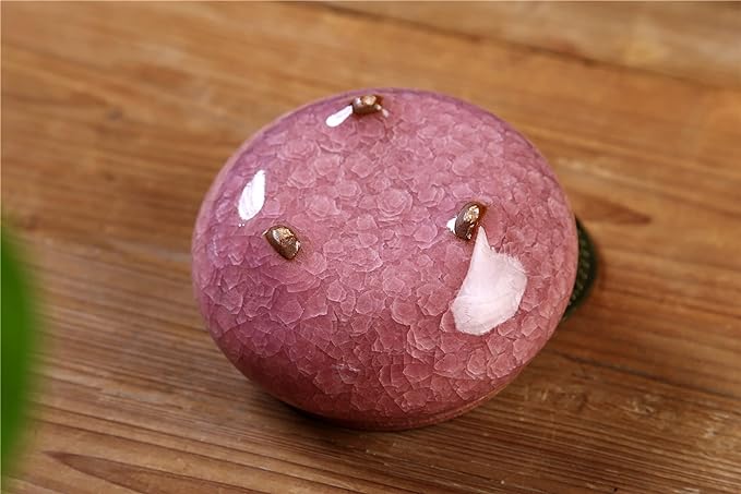 Ceramic Incense Burner with Incense Stick Holder + Insulation use for Stick or Coil Incense, Sage Cones and Frankincense (Violet)