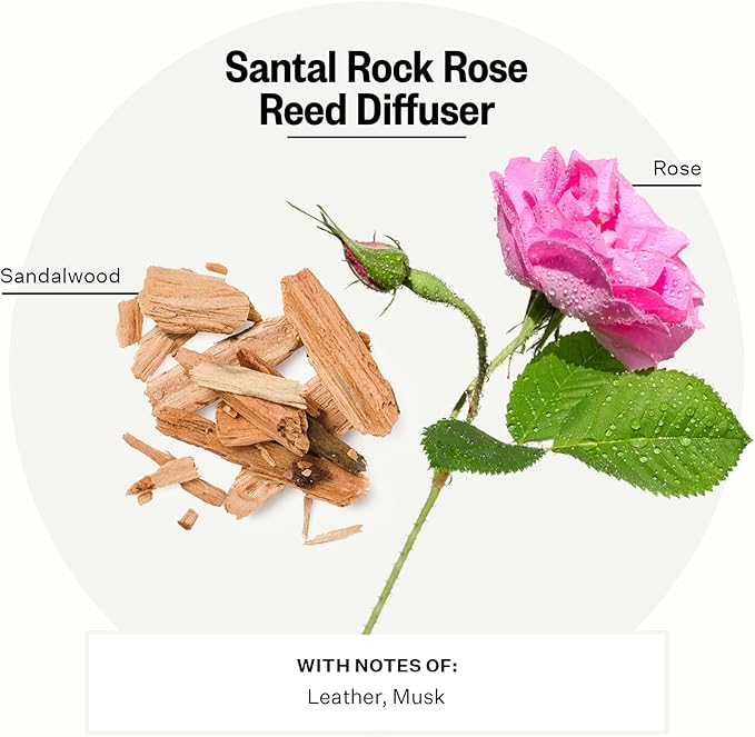 Apotheke Luxury Scented Oil Reed Diffuser for Home (Santal Rock Rose) - Home Fragrance Diffuser Set with Sticks