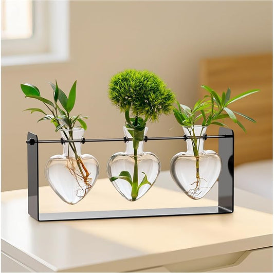 Rossny Metal Plant Propagation Station with 3 Clear Glass Vases - Desktop Plant Terrariums for Herbs, Ideal for Modern Home Office Garden Planter Decor, Gift for Plant Lovers, Black
