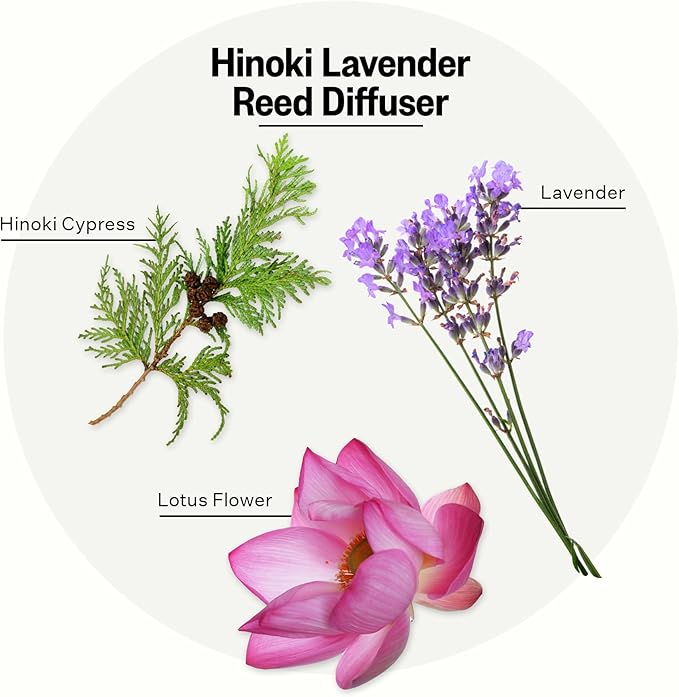 Apotheke Luxury Scented Oil Reed Diffuser for Home (Hinoki Lavender) - Home Fragrance Diffuser Set with Sticks