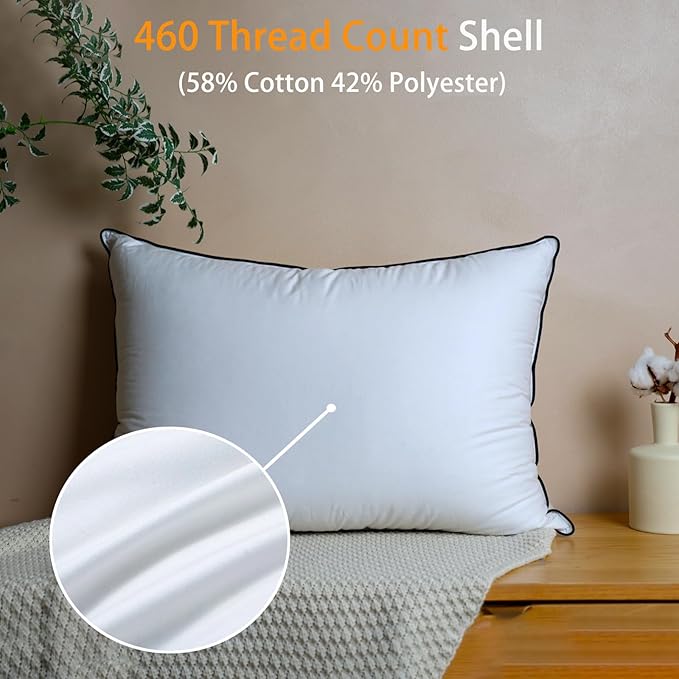 Natural Goose Down Pillows - White Down Pillow Standard Size - 550 Fill Power - Soft and Support Down Bed Pillow for Back,Side,Stomach Sleepers，2 Pack (20" x 26")