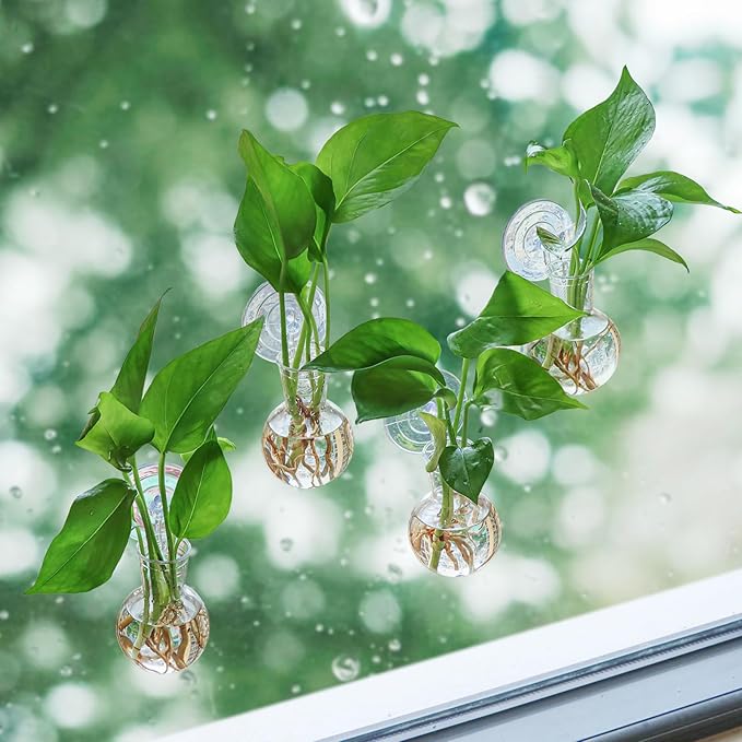 4 pcs Window Propagation Stations, Suction Cup Plastic Plant Propagation Bulbs, Easy to Install Wall Hanging Planter, No Nails Plastic Plant Terrarium Vase